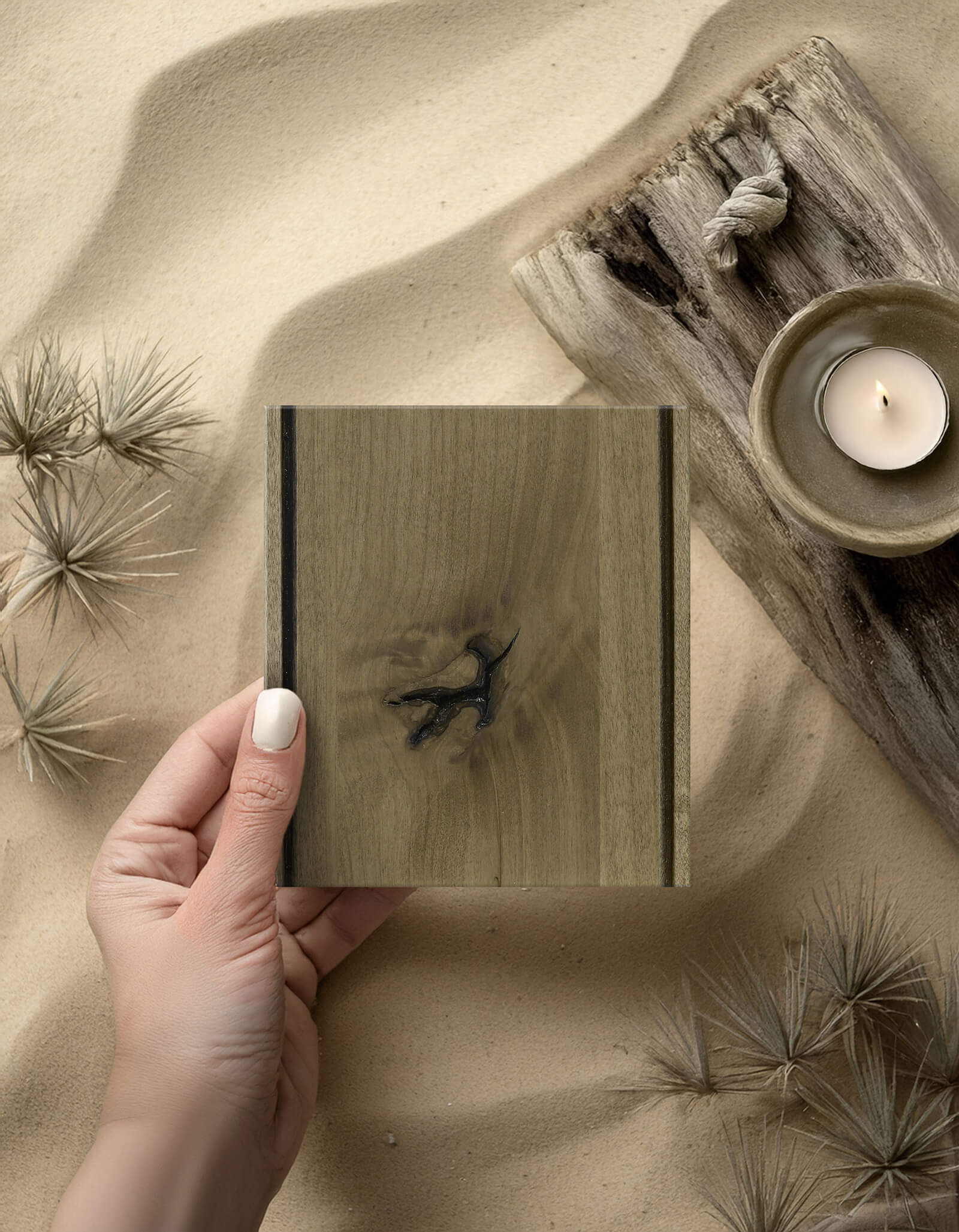 A light, true-brown cabinet stain color called Desert Sand by Dura Supreme shown on Knotty Alder.